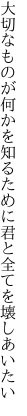 大切なものが何かを知るために 君と全てを壊しあいたい
