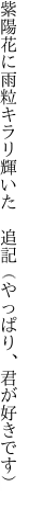 紫陽花に雨粒キラリ輝いた　 追記（やっぱり、君が好きです）