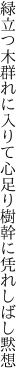 緑立つ木群れに入りて心足り 樹幹に凭れしばし黙想