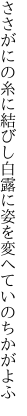 ささがにの糸に結びし白露に 姿を変へていのちかがよふ