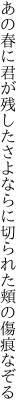 あの春に君が残したさよならに 切られた頬の傷痕なぞる