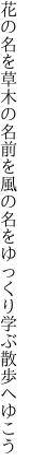 花の名を草木の名前を風の名を ゆっくり学ぶ散歩へゆこう