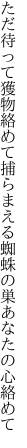 ただ待って獲物絡めて捕らまえる 蜘蛛の巣あなたの心絡めて