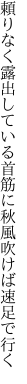 頼りなく露出している首筋に 秋風吹けば速足で行く