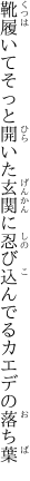 靴履いてそっと開いた玄関に 忍び込んでるカエデの落ち葉