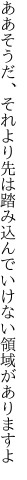 ああそうだ、それより先は踏み込んで いけない領域がありますよ