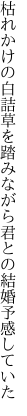 枯れかけの白詰草を踏みながら 君との結婚予感していた