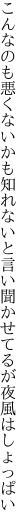 こんなのも悪くないかも知れないと 言い聞かせてるが夜風はしょっぱい