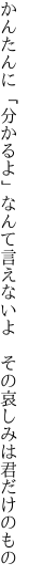 かんたんに「分かるよ」なんて言えないよ  その哀しみは君だけのもの