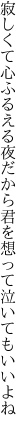 寂しくて心ふるえる夜だから 君を想って泣いてもいいよね