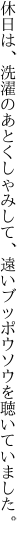 休日は、洗濯のあとくしゃみして、 遠いブッポウソウを聴いていました。