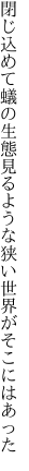 閉じ込めて蟻の生態見るような 狭い世界がそこにはあった