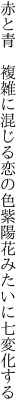 赤と青 複雑に混じる恋の色 紫陽花みたいに七変化する