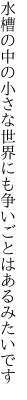 水槽の中の小さな世界にも 争いごとはあるみたいです