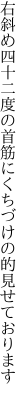 右斜め四十二度の首筋に くちづけの的見せております