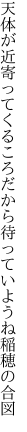 天体が近寄ってくるころだから 待っていようね稲穂の合図