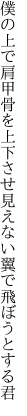 僕の上で肩甲骨を上下させ 見えない翼で飛ぼうとする君