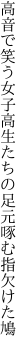 高音で笑う女子高生たちの 足元啄む指欠けた鳩