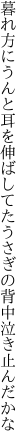 暮れ方にうんと耳を伸ばしてた うさぎの背中泣き止んだかな
