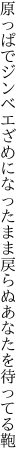 原っぱでジンベエざめになったまま 戻らぬあなたを待ってる鞄