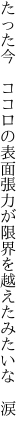 たった今　ココロの表面張力が 限界を越えたみたいな　涙