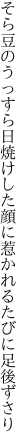 そら豆のうっすら日焼けした顔に 惹かれるたびに足後ずさり