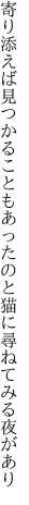 寄り添えば見つかることもあったのと 猫に尋ねてみる夜があり