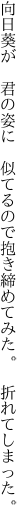 向日葵が 君の姿に 似てるので 抱き締めてみた。 折れてしまった。