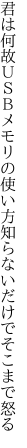 君は何故ＵＳＢメモリの使い方 知らないだけでそこまで怒る