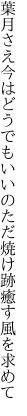 葉月さえ今はどうでもいいのただ 焼け跡癒す風を求めて