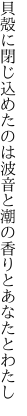 貝殻に閉じ込めたのは波音と 潮の香りとあなたとわたし