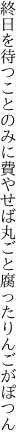 終日を待つことのみに費やせば 丸ごと腐ったりんごがぽつん