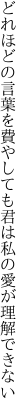 どれほどの言葉を費やしても君は 私の愛が理解できない