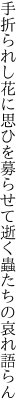 手折られし花に思ひを募らせて 逝く蟲たちの哀れ語らん