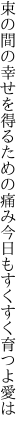 束の間の幸せを得るための痛み 今日もすくすく育つよ愛は