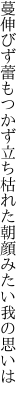 蔓伸びず蕾もつかず立ち枯れた 朝顔みたい我の思いは
