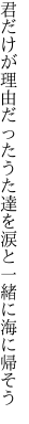 君だけが理由だったうた達を 涙と一緒に海に帰そう
