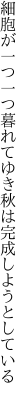 細胞が一つ一つ暮れてゆき 秋は完成しようとしている