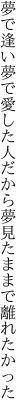 夢で逢い夢で愛した人だから 夢見たままで離れたかった