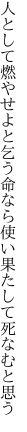 人として燃やせよと乞う命なら 使い果たして死なむと思う