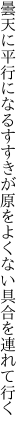 曇天に平行になるすすきが原を よくない具合を連れて行く