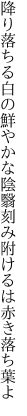 降り落ちる白の鮮やかな陰翳 刻み附けるは赤き落ち葉よ