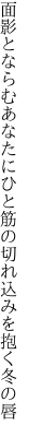 面影とならむあなたにひと筋の 切れ込みを抱く冬の唇