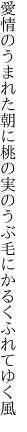 愛情のうまれた朝に桃の実の うぶ毛にかるくふれてゆく風