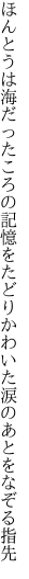 ほんとうは海だったころの記憶を たどりかわいた涙のあとをなぞる指先