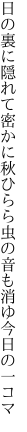 日の裏に隠れて密かに秋ひらら 虫の音も消ゆ今日の一コマ