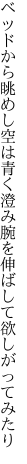 ベッドから眺めし空は青く澄み 腕を伸ばして欲しがってみたり