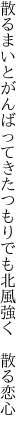 散るまいとがんばってきたつもりでも 北風強く 散る恋心