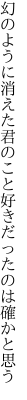 幻のように消えた君のこと 好きだったのは確かと思う