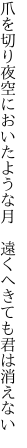 爪を切り夜空においたような月  遠くへきても君は消えない